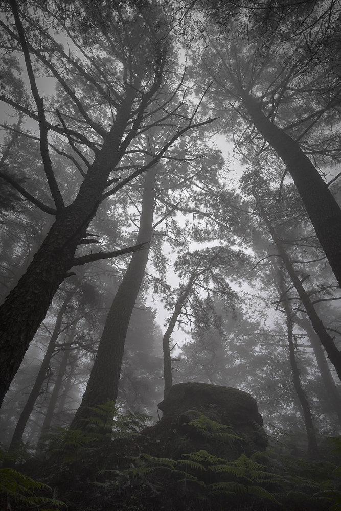 Platz 4 Peter Marion